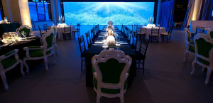 Moulin Sherman Mills Brulee Catering Projection Mapping Video Blend Scenery